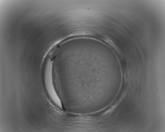 X0000066960781200604142114