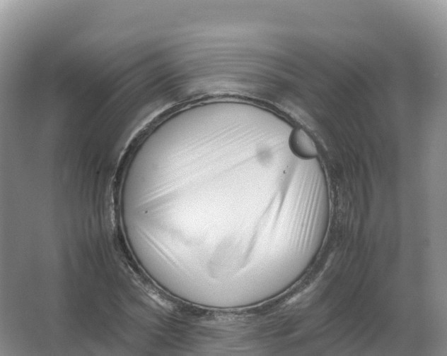 X0000066960782200604142114