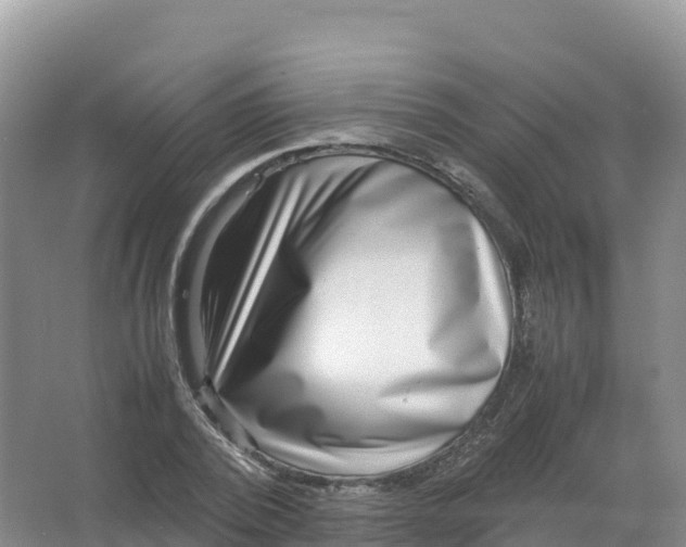 X0000066960784200604142114