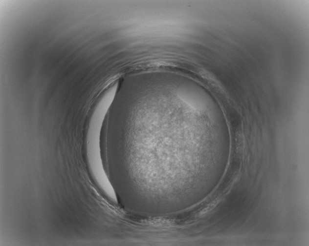 X0000066960785200604142114