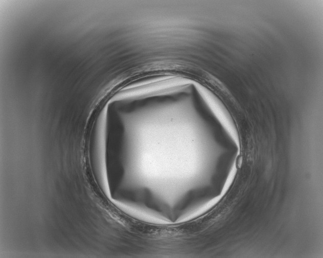 X0000066960786200604142114