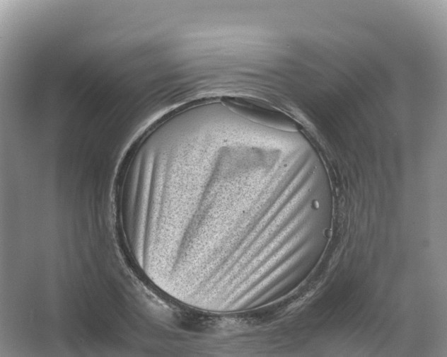 X0000066960787200604142114