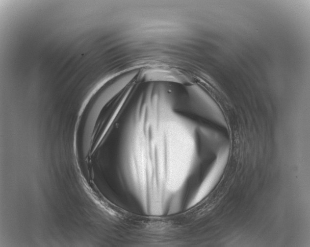 X0000066960788200604142114