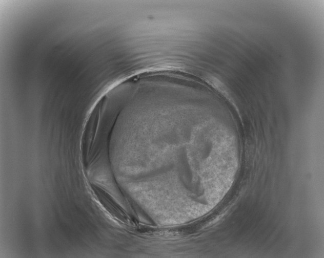 X0000066960789200604142114