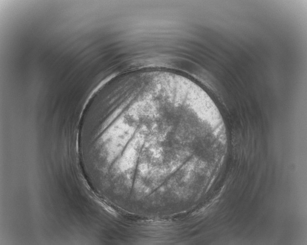 X0000066960790200604142114