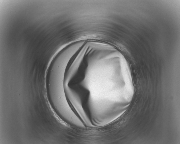 X0000066960792200604142114