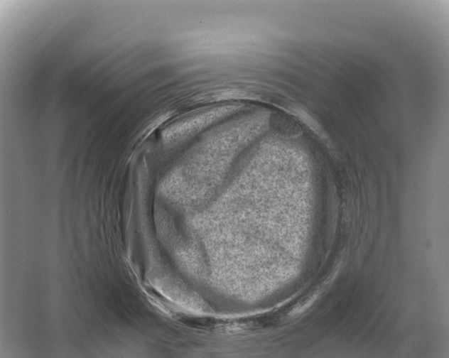 X0000066960793200604142114