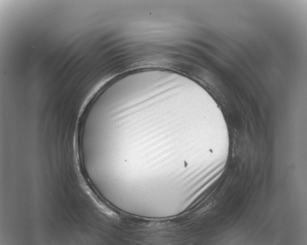 X0000066960796200604142114