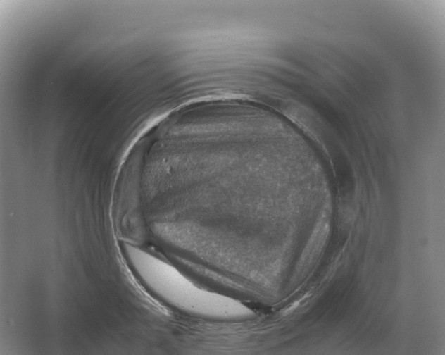 X0000066960797200604142114