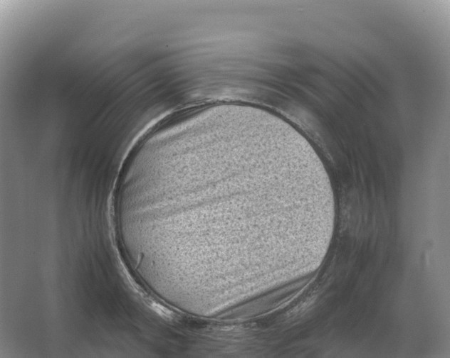 X0000066960798200604142114