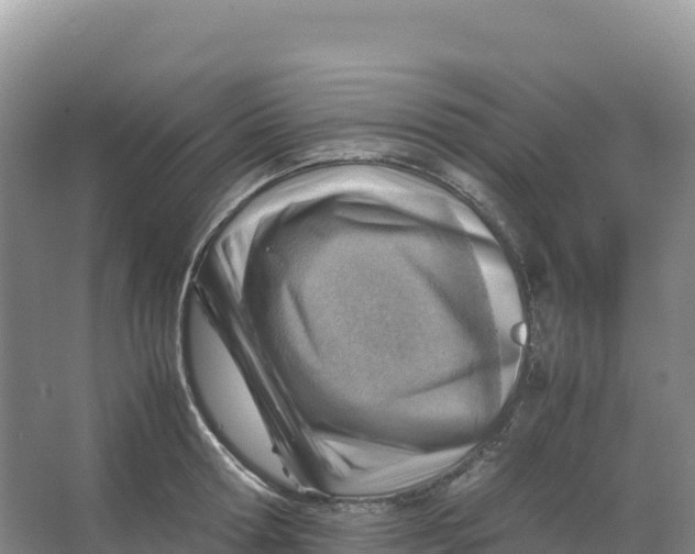 X0000066960802200604142114