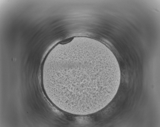 X0000066960804200604142113