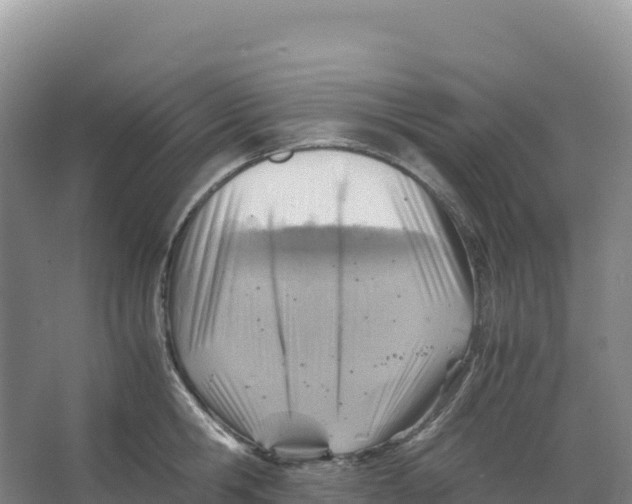 X0000066960806200604142113