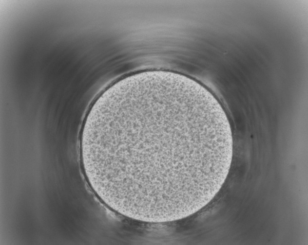 X0000066960807200604142113