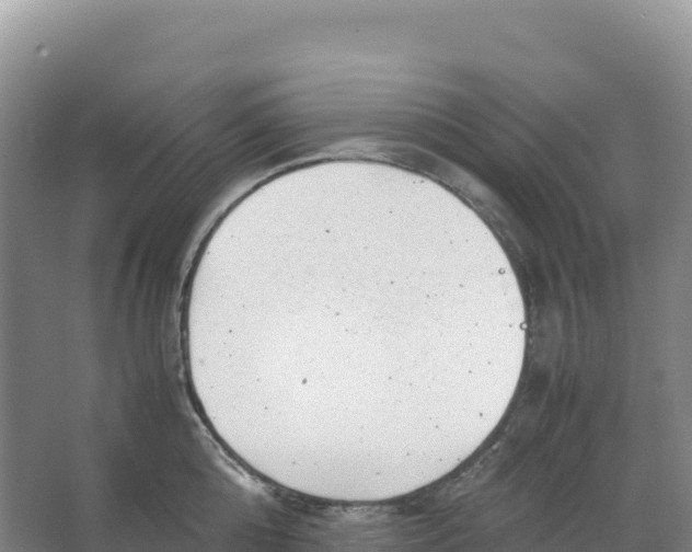 X0000066960808200604142113