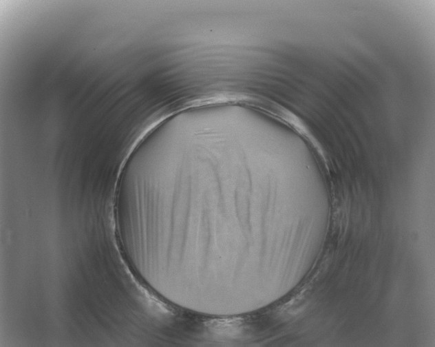 X0000066960810200604142113