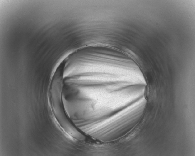 X0000066960812200604142113