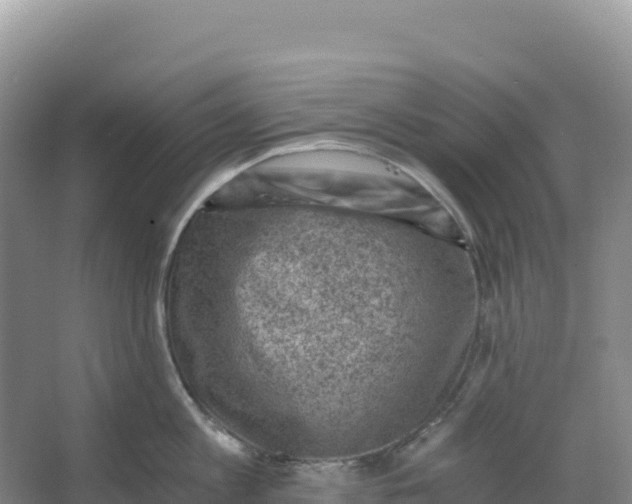 X0000066960813200604142113