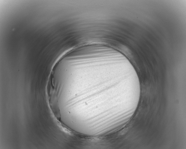 X0000066960814200604142113