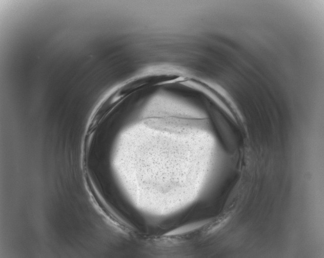 X0000066960815200604142113