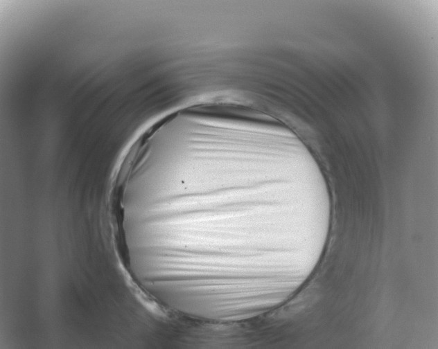 X0000066960816200604142113