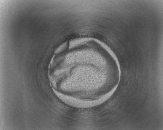 X0000066960817200604142112