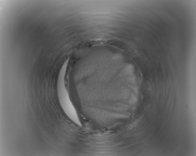 X0000066960818200604142113