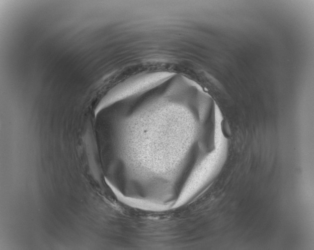 X0000066960821200604142113