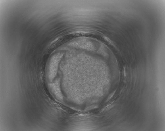 X0000066960822200604142113