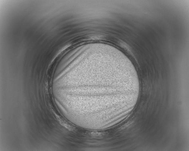 X0000066960827200604142113