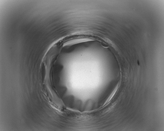 X0000066960830200604142113