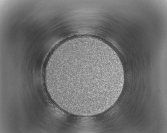 X0000066960832200604142113