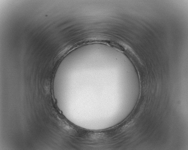 X0000066960833200604142113