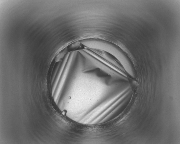 X0000066960834200604142113