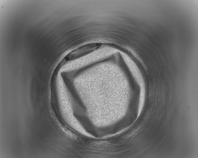 X0000066960837200604142113