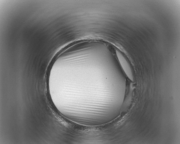 X0000066960838200604142113