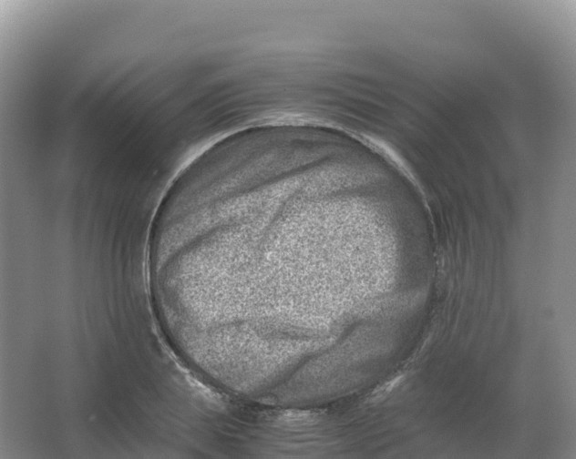 X0000066960839200604142113