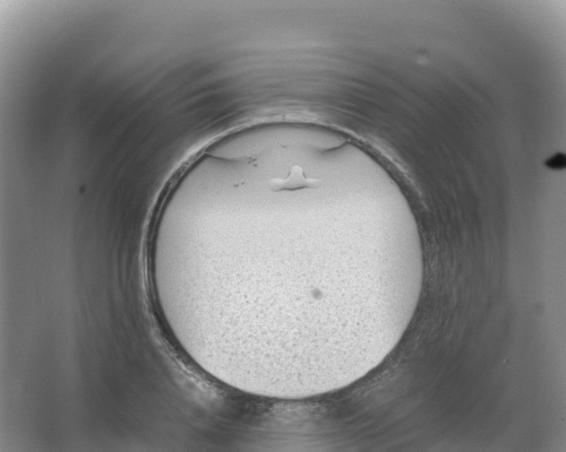 X0000066960840200604142113