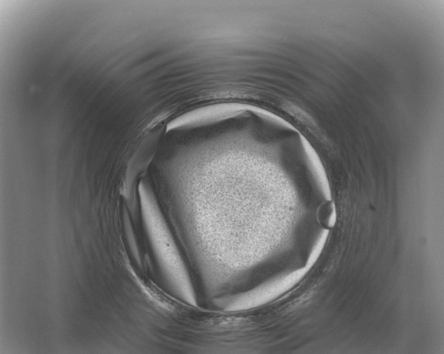 X0000066960841200604142113