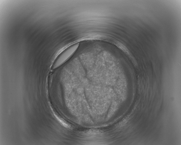 X0000066960842200604142113