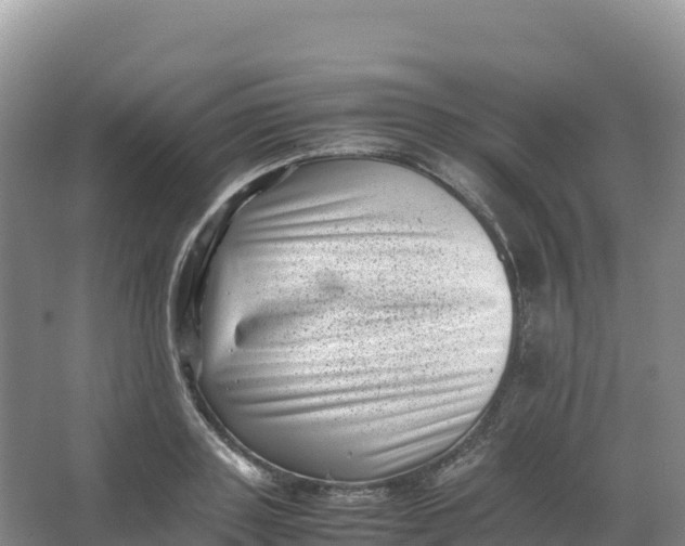 X0000066960843200604142113