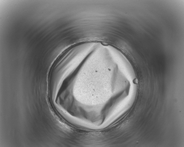 X0000066960844200604142113