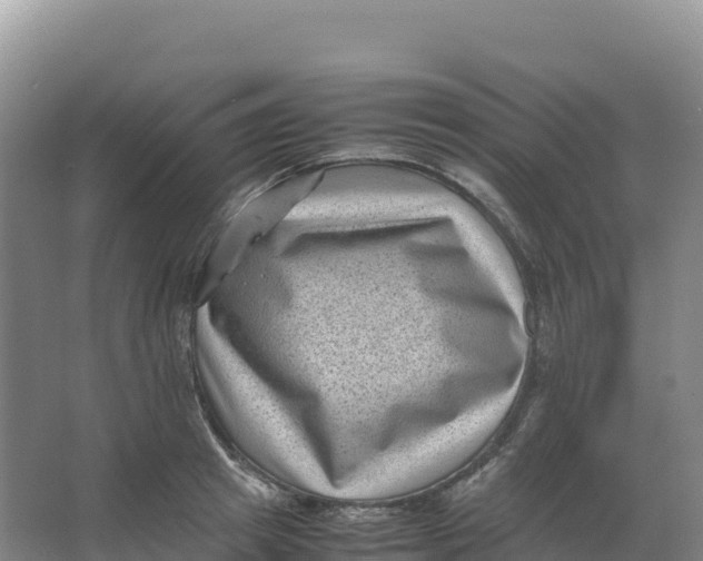 X0000066960849200604142113