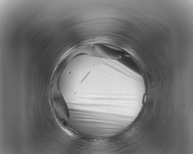 X0000066960850200604142113