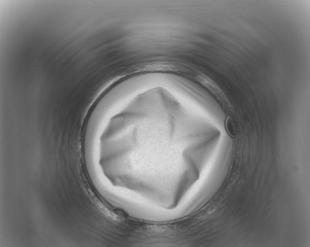 X0000066960852200604142113