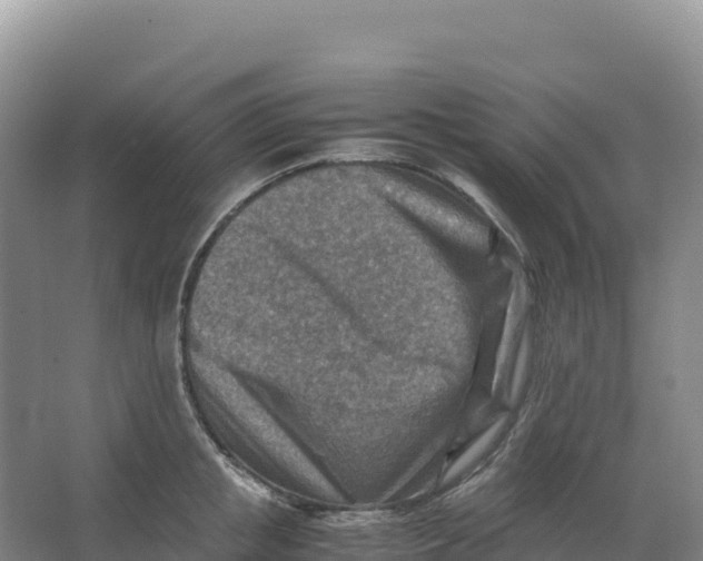 X0000066960853200604142113