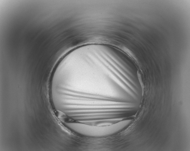 X0000066960854200604142113