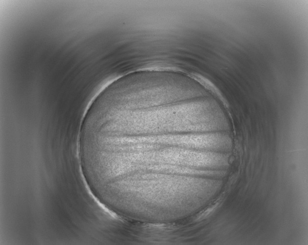 X0000066960855200604142113