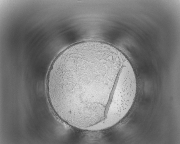 X0000066960856200604142113