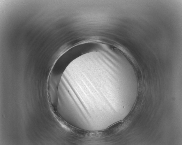 X0000066960858200604142113